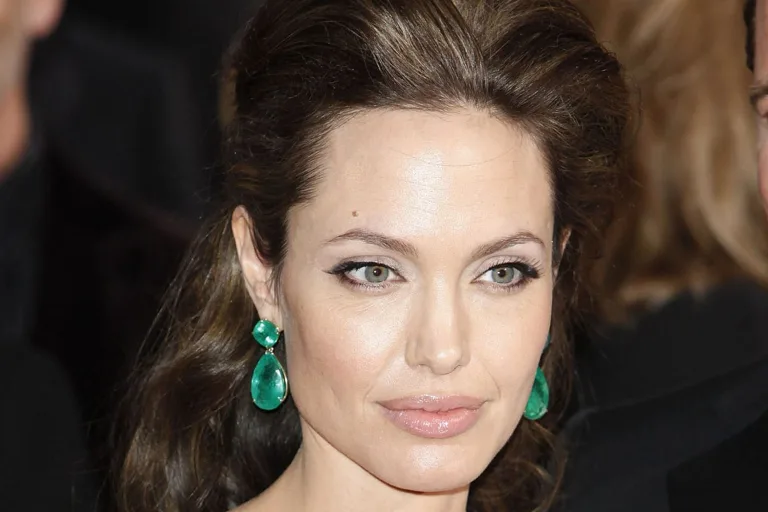 Fashion Portfolios: The Angelina Jolie Edition