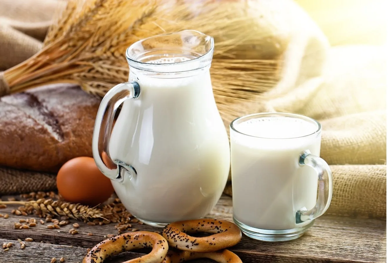 Health Benefits of Camel’s Milk