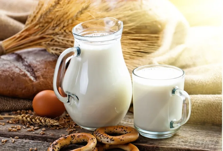 Health Benefits of Camel’s Milk